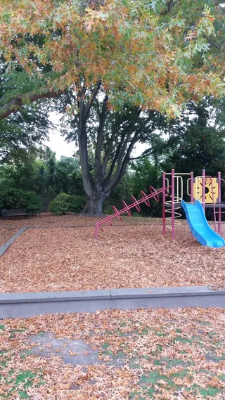 Abberley Park photo 7