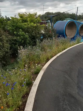 Hillcrest Stadium photo 4