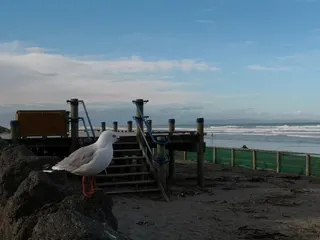 New Brighton Beachside Playground photo 5