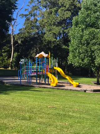 Totaravale Reserve playground photo 9