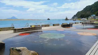 Wairaka Centennial Park photo 2