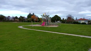 Mahanga Kakariki Reserve photo 3