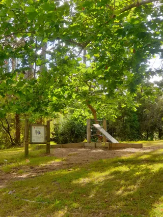 Craigavon Park photo 8