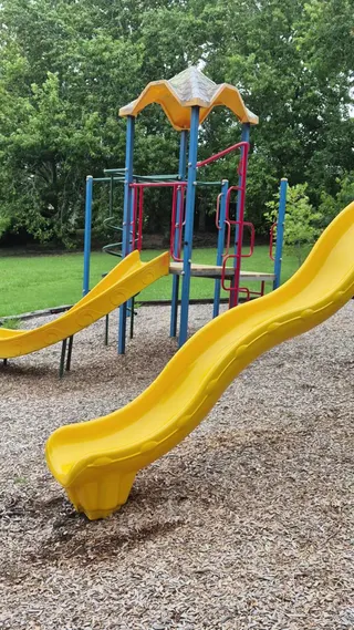 Totaravale Reserve playground photo 3