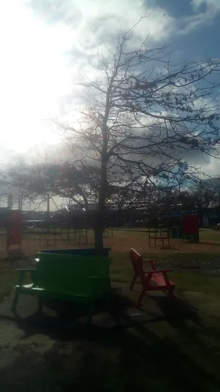 Levin Adventure Park photo 10