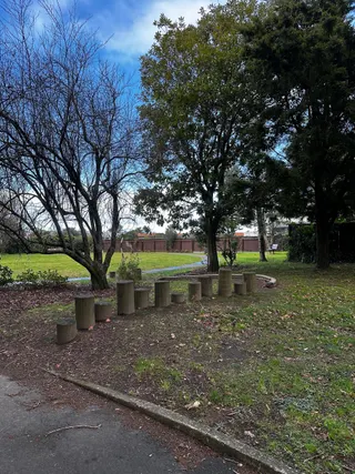 Te Po Roa Reserve photo 4