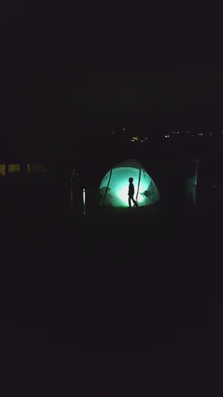 Martins Bay Holiday Park photo 1