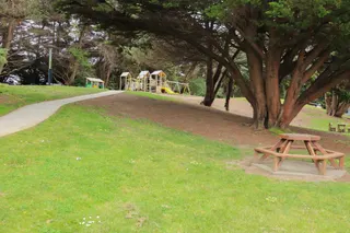 [source: kapiti-coast https://www.kapiticoast.govt.nz/explore-kapiti/recreation/parks-and-reserves/parks/waimeha-domain/]