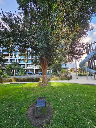 Childrens Playground photo 9