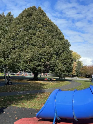 Memorial Gardens Playground