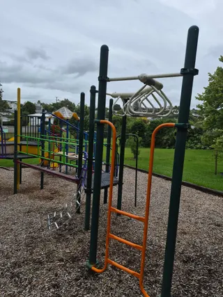 Totaravale Reserve playground photo 4