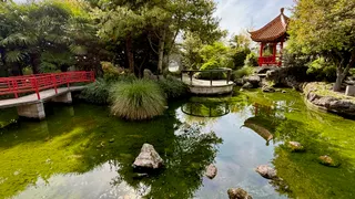 Osmanthus Garden