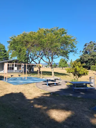 Hokowhitu Domain Playground photo 3