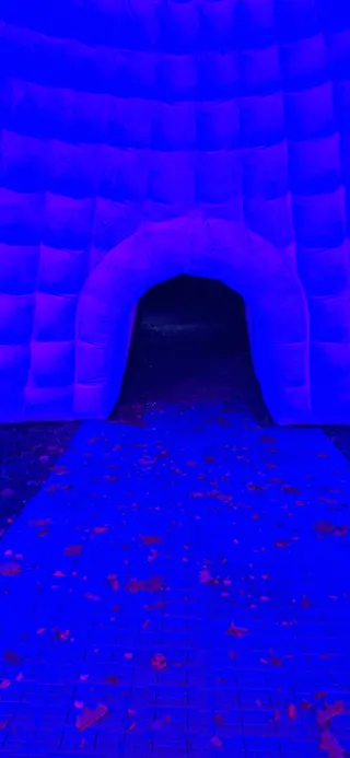 Timaru Botanic Gardens photo 7