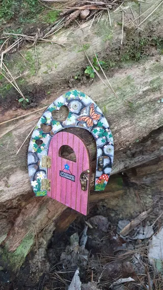 Karori Park photo 9