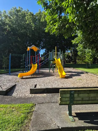 Totaravale Reserve playground photo 7