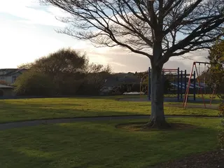 Chelmsford Street Playground photo 1