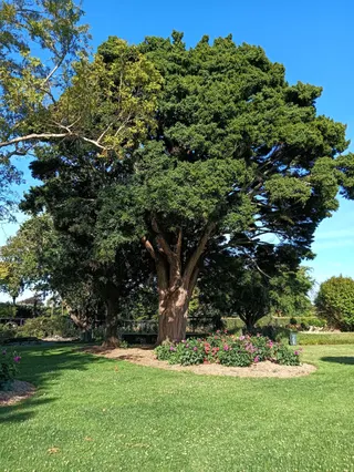 Visit photo