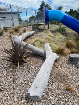 Te Kapua Park Playground photo 2