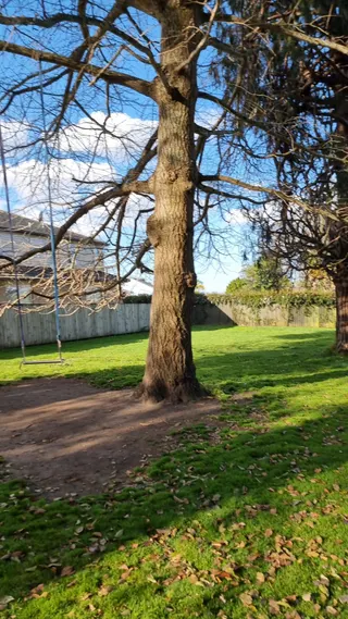 Tutarawānanga - Yatton Park photo 4