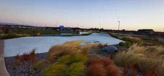 Acland Park reserve and playground photo 6