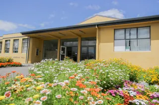 [source: kapiti-coast https://www.kapiticoast.govt.nz/explore-kapiti/recreation/parks-and-reserves/parks/main-street-playground/]