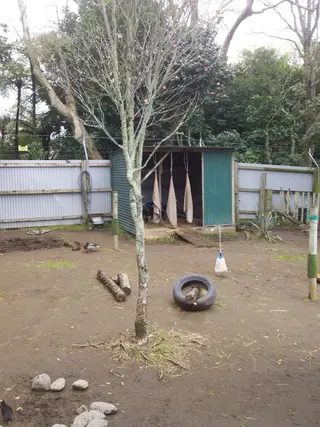 Brooklands Park photo 6
