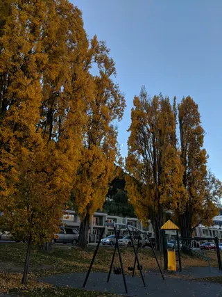 Saint Omer Park, Queenstown