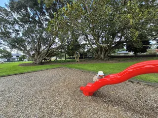 Manukau Park photo 1