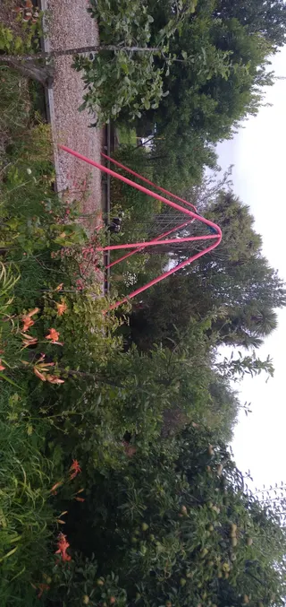 Packe Street Park & Community Gardens photo 2