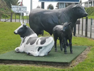 RiverVue Playground 904