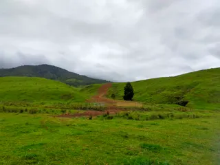 Adderstone Reserve