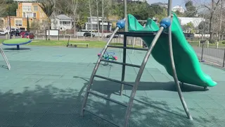Shore Road Reserve photo 2