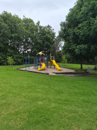 Totaravale Reserve playground photo 8