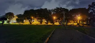 Owairaka Park photo 8