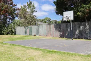 [source: kapiti-coast https://www.kapiticoast.govt.nz/explore-kapiti/recreation/parks-and-reserves/parks/dixie-street-reserve/]