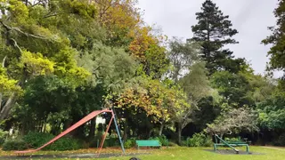 Kowhai park duck pond