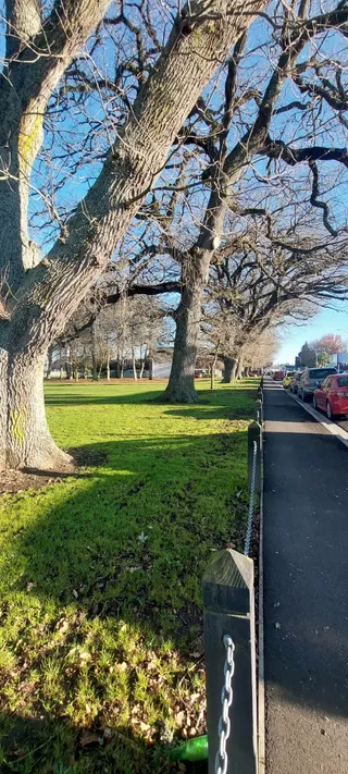 Hinemoa Park