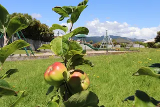 San Vito Place Reserve Playground