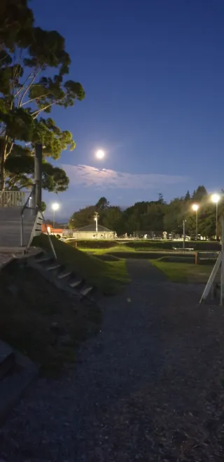 Maidstone Park photo 10