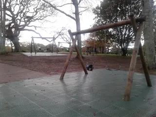 One Tree Hill Domain Playground photo 7