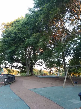 One Tree Hill Domain Playground photo 2