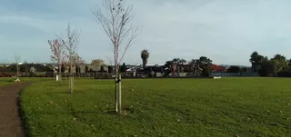 Tarnica Park Playground photo 2