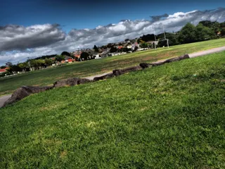 Owairaka Park photo 7