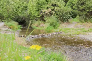 [source: kapiti-coast https://www.kapiticoast.govt.nz/explore-kapiti/recreation/parks-and-reserves/parks/kaitawa-reserve/]