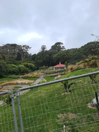 Botanic Garden Playground photo 9