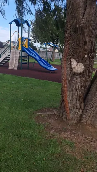Lakemba Reserve Playground photo 2