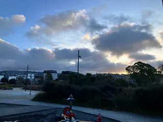 Waitangi Park photo 6