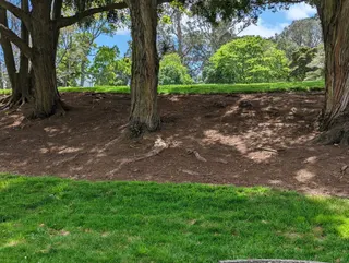 Visit photo