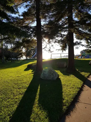 Memorial Park Playground photo 5